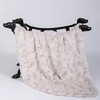 Hello Doggie Inc-9172