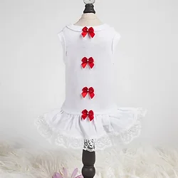 Hello Doggie Inc-258