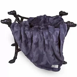 Hello Doggie Inc-9044