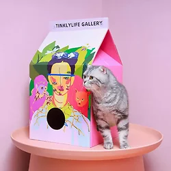 Tinklylife-6972367470878