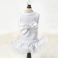 Hello Doggie Inc-284