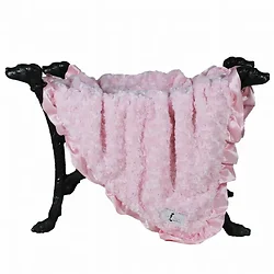 Hello Doggie Inc-9089