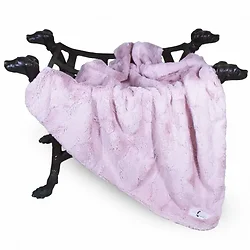 Hello Doggie Inc-9041