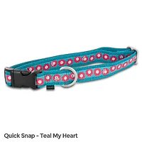 Petsafe-FIN-QSC-L-1-TEA