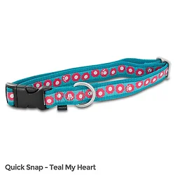 Petsafe-FIN-QSC-L-1-TEA