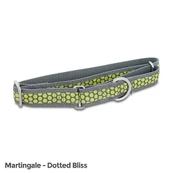 Petsafe-FIN-PRC-L-1-DOT