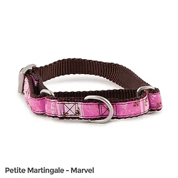 Petsafe-FIN-PRC-P-1/2-M