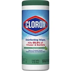 CLOROX-CLO 01593