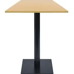 SpecialT-SCT SIEN4242GN