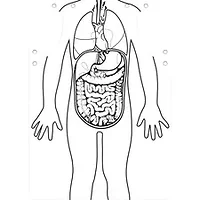 Roylco Inc-RYL 59802