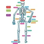 Teacher Created Resources TCR 77241