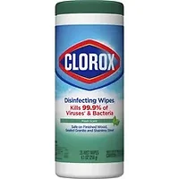 CLOROX-CLO 01593PL