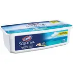CLOROX CLO 32034