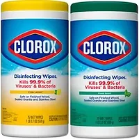 CLOROX-CLO 01599PL