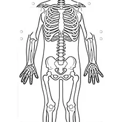 Roylco Inc-RYL 59801
