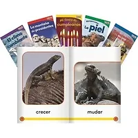 Shell Education-SHL 25856