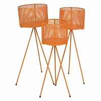 Plutus Brands-PBTH94692