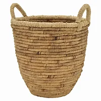 Plutus Brands-PBTH93296