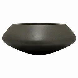 Plutus Brands-PBTH93954