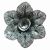 Plutus Brands-PBTH92575