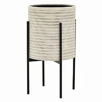 Plutus Brands-PBTH94225