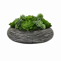 Plutus Brands-PBTH93320