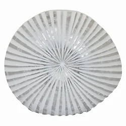 Plutus Brands-PBTH93753