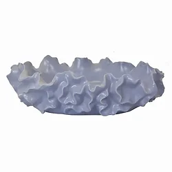 Plutus Brands-PBTH92641