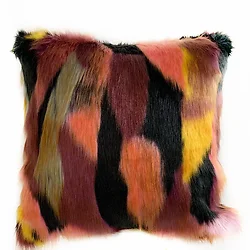 Plutus Brands-PBDT1602-P-2424-DP