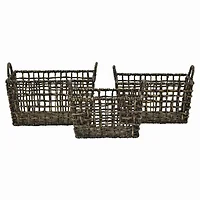 Plutus Brands-PBTH94704