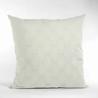 Plutus Brands-PBCF2157-2626-DP