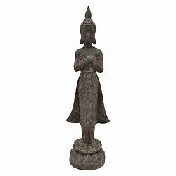 Plutus Brands-PBTH94282