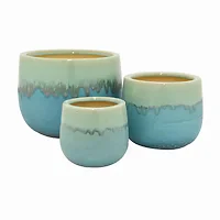 Plutus Brands-PBTH93903