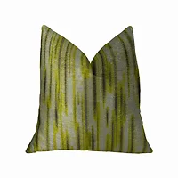 Plutus Brands-PBRAZ194-2026-DP