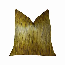 Plutus Brands-PBRAZ456-2026-DP