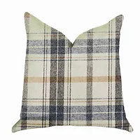 Plutus Brands-PBRA1334-2026-DP