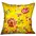 PBRA2343-2020-DP