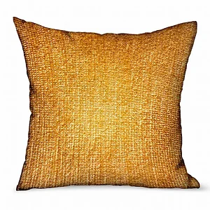 Plutus Brands PBRAO109-2424-DP - Plutus Honey Lust Brown Solid Luxury Throw Pillow - 24" x 24"