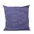 PBRA2419-2036-DP