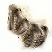 Plutus Brands-PBSF1516-6072-TC