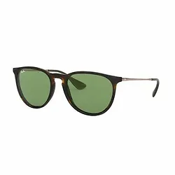 Ray Ban-RB4171F-6393/2