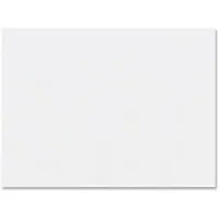 PACON CORPORATION-PAC 5290