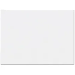 PACON CORPORATION-PAC 5290