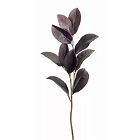 Melrose International-73733DS