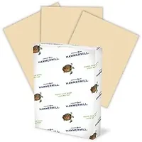 INTERNATIONAL PAPER-HAM 102863CT