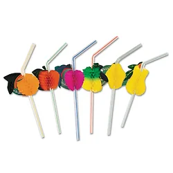 AMERCAREROYAL-RS950F