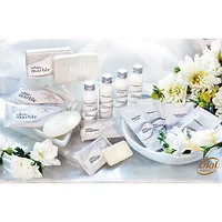 DIAL PROFESSIONAL-DIA 00417