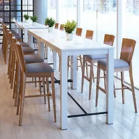 Zuo Modern Contemporary Inc-100983