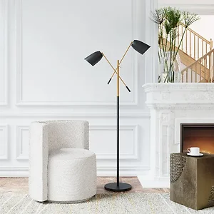 Zuo Modern Contemporary Inc 56079 - Modern Adjustable Floor Lamp in Matte Black and Brass