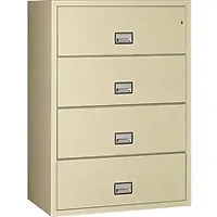 Phoenix Safe International LLC-PXS LAT4W31P